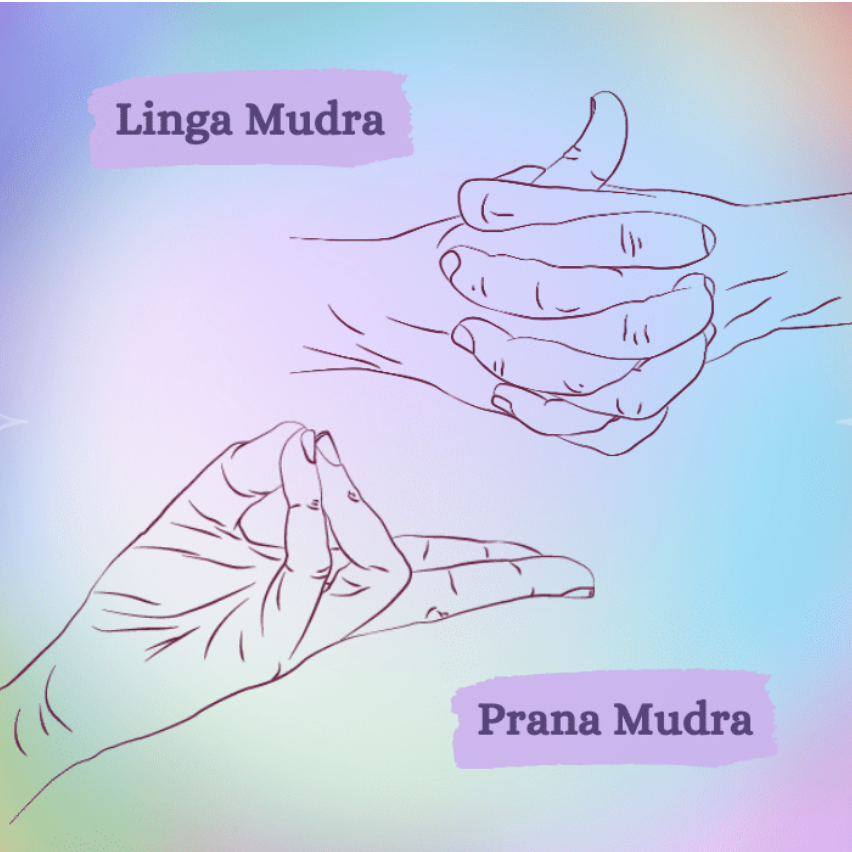 Yoga mudras for immunity image: Linga and Prana Mudra