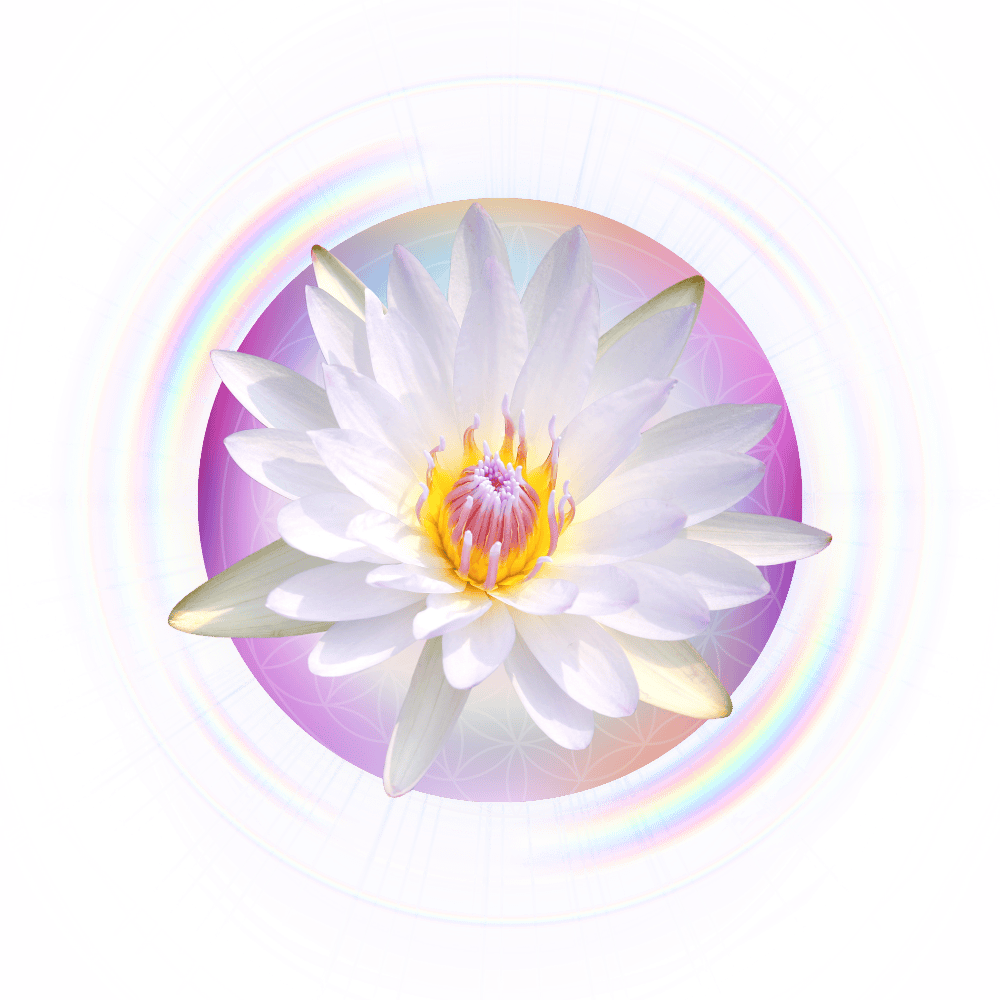 Lotus Glow Icon