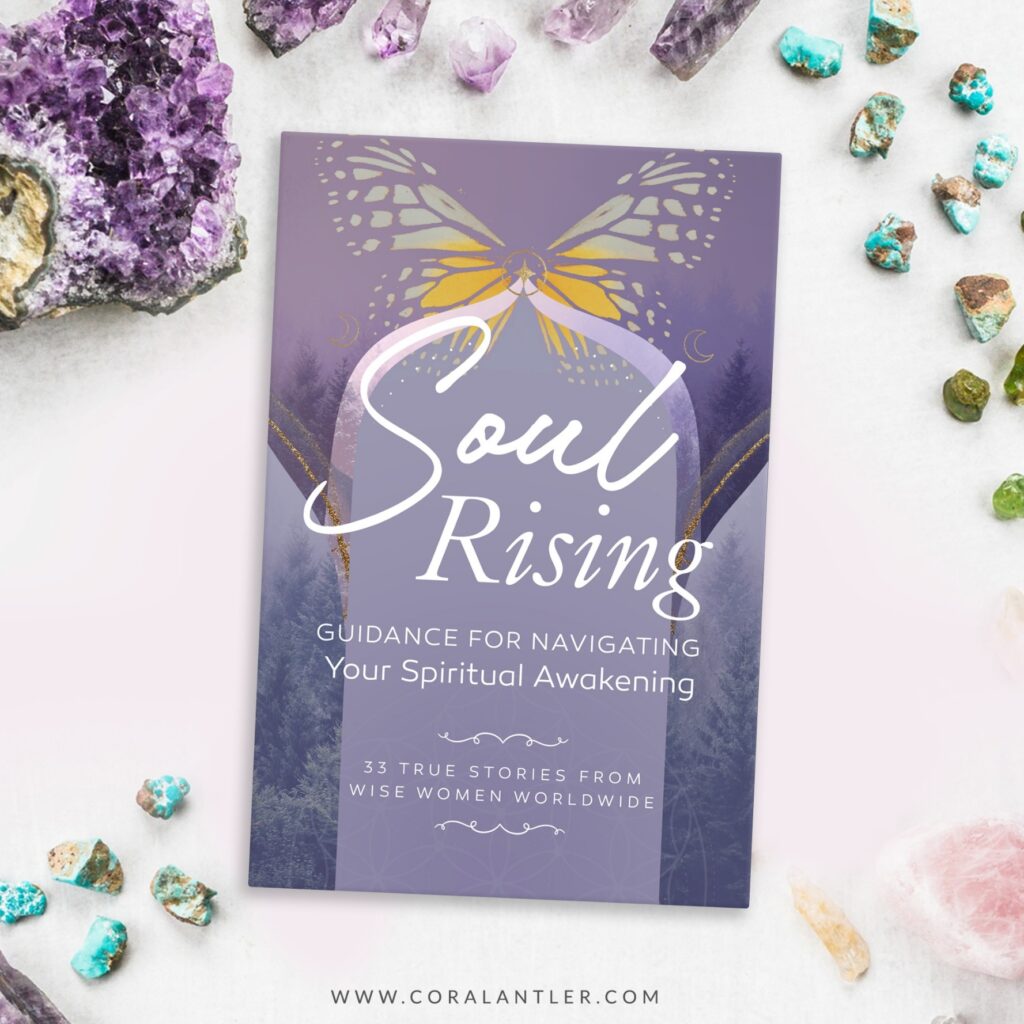 Soul Rising Book Image